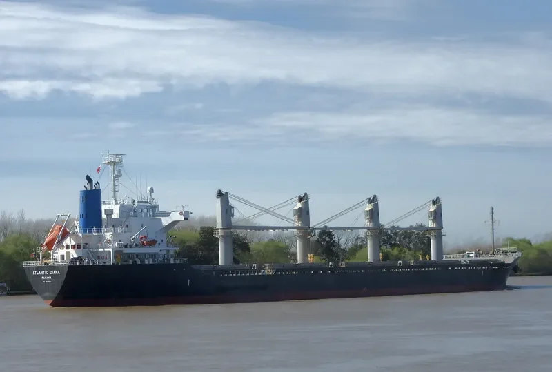 ATLANTIC DIANA Bulk Carrier IMO 9515539 photo 10