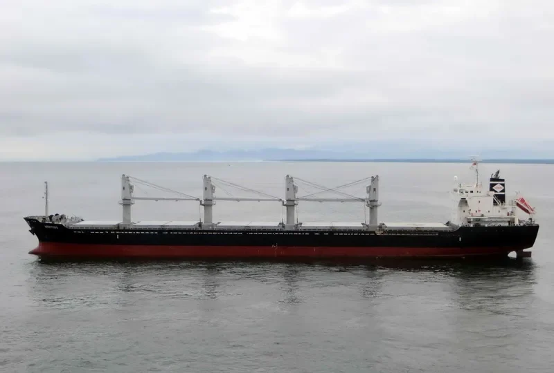 MERITIUS Bulk Carrier IMO 9515632 photo 7