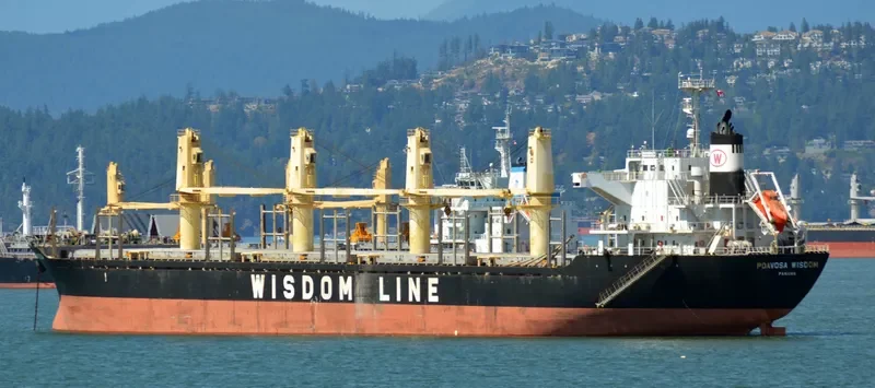 POAVOSA WISDOM Bulk Carrier IMO 9515644 photo 7