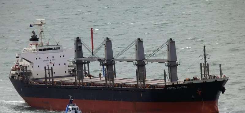 DEWI GANDAWATI Bulk Carrier IMO 9515670