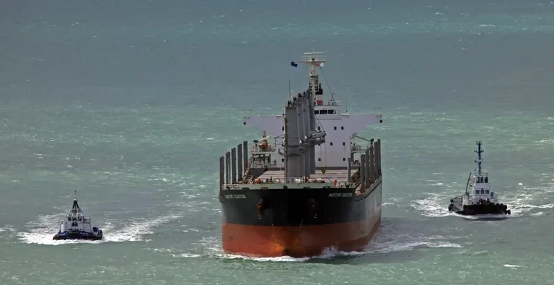 DEWI GANDAWATI Bulk Carrier IMO 9515670 photo 2