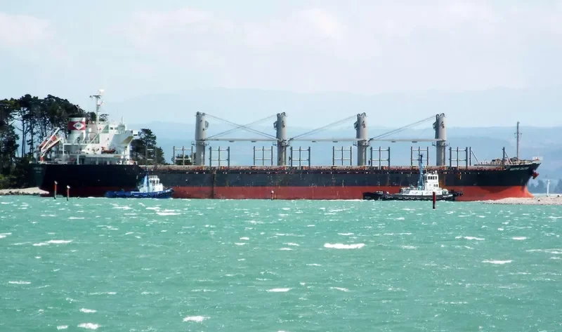 DEWI GANDAWATI Bulk Carrier IMO 9515670 photo 3