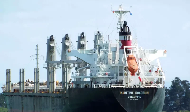 DEWI GANDAWATI Bulk Carrier IMO 9515670 photo 4