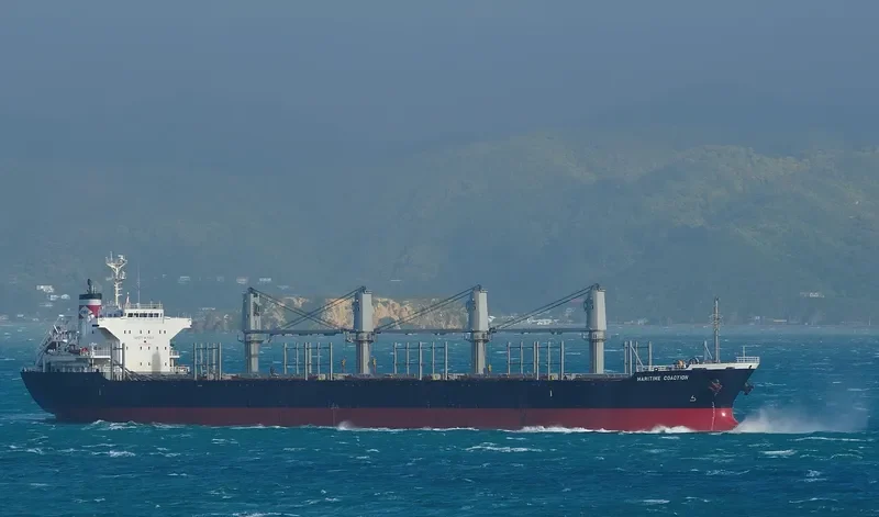 DEWI GANDAWATI Bulk Carrier IMO 9515670 photo 7