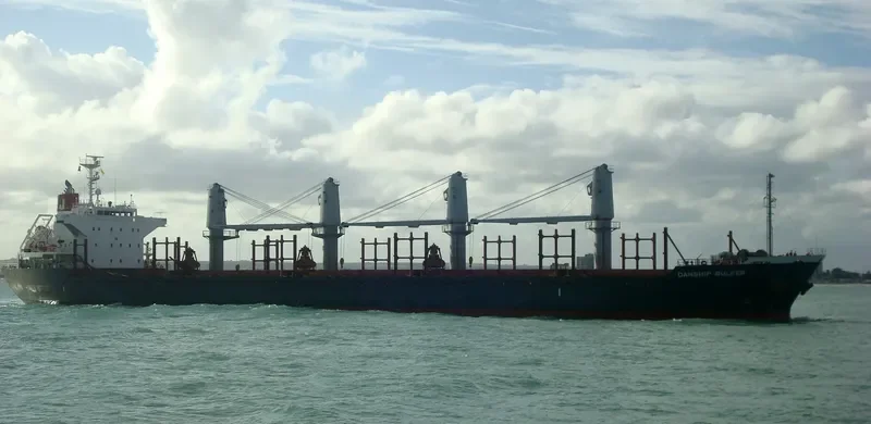 DANSHIP BULKER Bulk Carrier IMO 9515682 photo 4