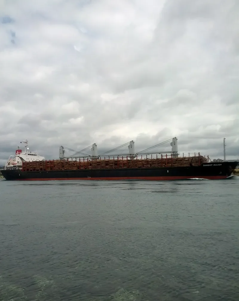 DANSHIP BULKER Bulk Carrier IMO 9515682 photo 8