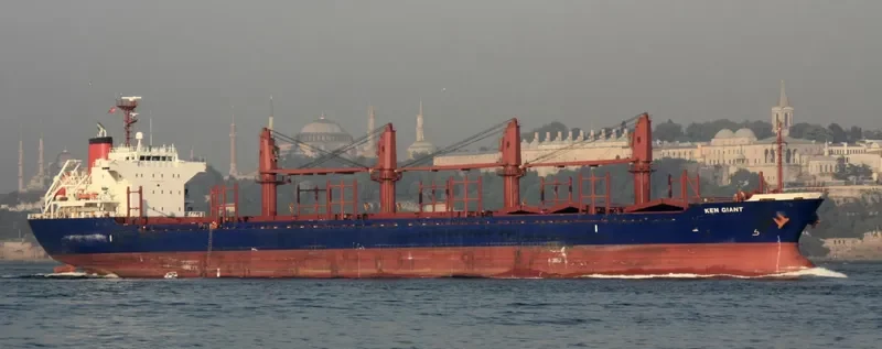 KEN GIANT Bulk Carrier IMO 9515694 photo 8