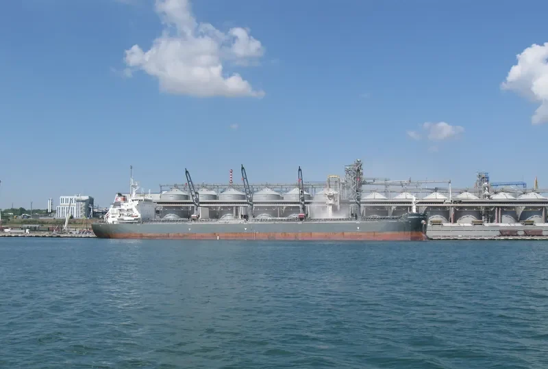 YANGTZE DAWN Bulk Carrier IMO 9515747 photo 2