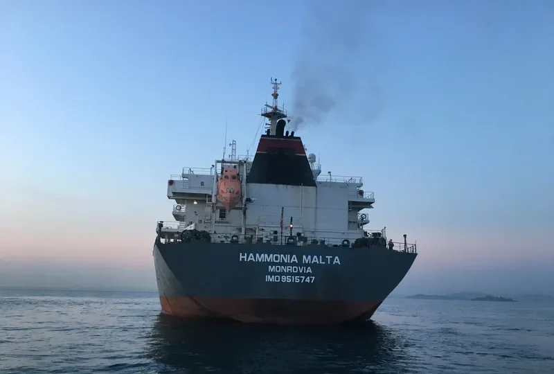 YANGTZE DAWN Bulk Carrier IMO 9515747 photo 4