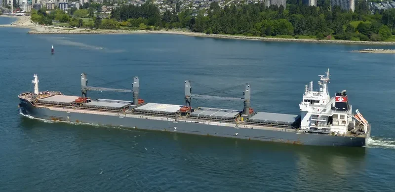 YANGTZE DAWN Bulk Carrier IMO 9515747 photo 6