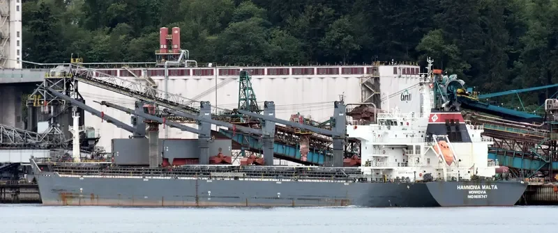 YANGTZE DAWN Bulk Carrier IMO 9515747 photo 7