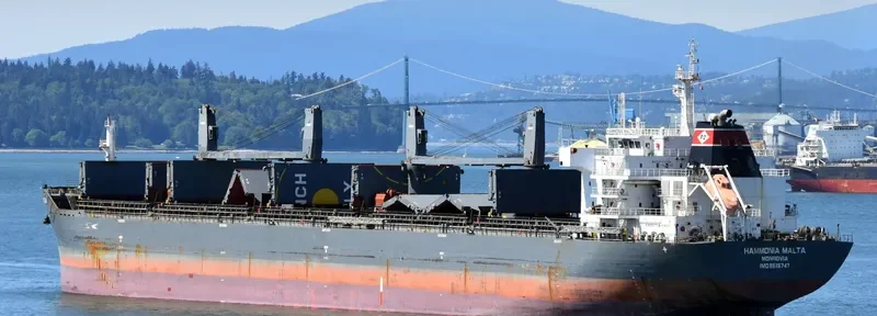 YANGTZE DAWN Bulk Carrier IMO 9515747 photo 8