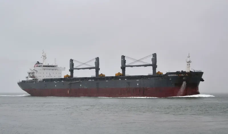 YANGTZE DAWN Bulk Carrier IMO 9515747 photo 9