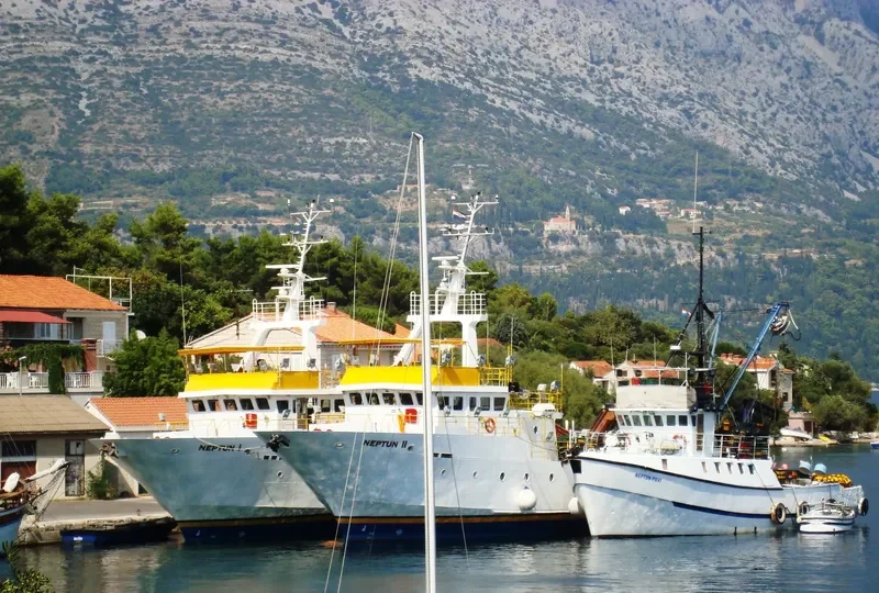 NEPTUN II General Cargo IMO 9515943 photo 7