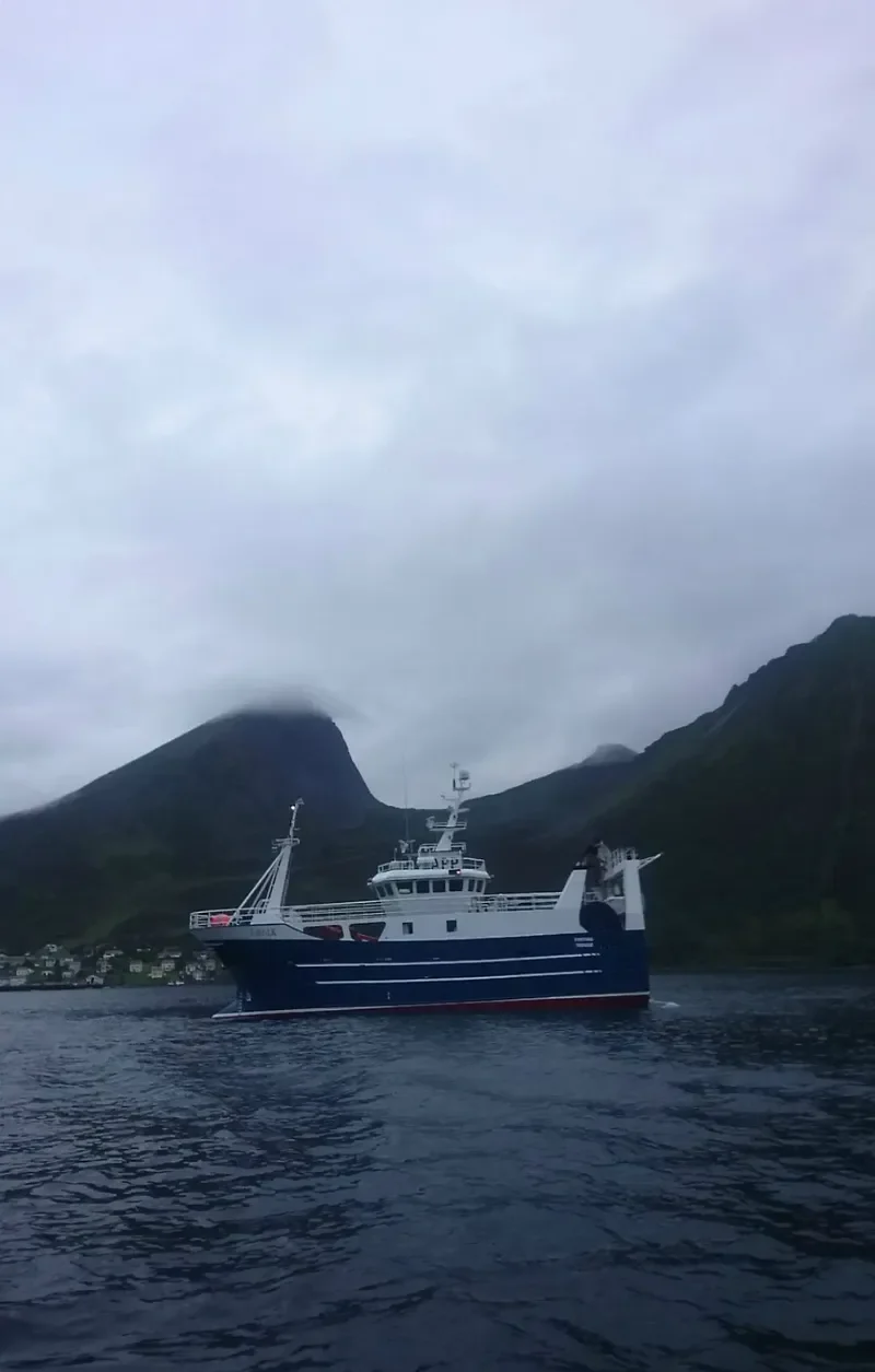 FORTUNA General Cargo IMO 9516040 photo 3