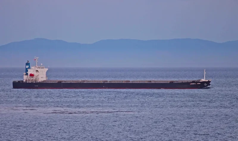 LEMESSOS WIND Bulk Carrier IMO 9516399 photo 7