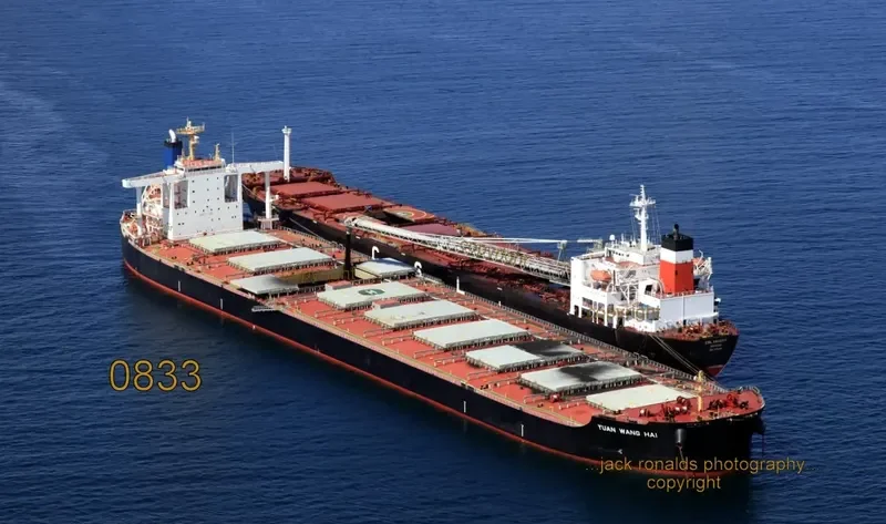 YUAN WANG HAI Bulk Carrier IMO 9516519