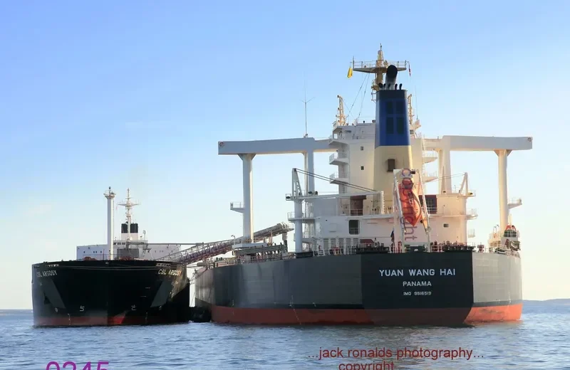 YUAN WANG HAI Bulk Carrier IMO 9516519 photo 2
