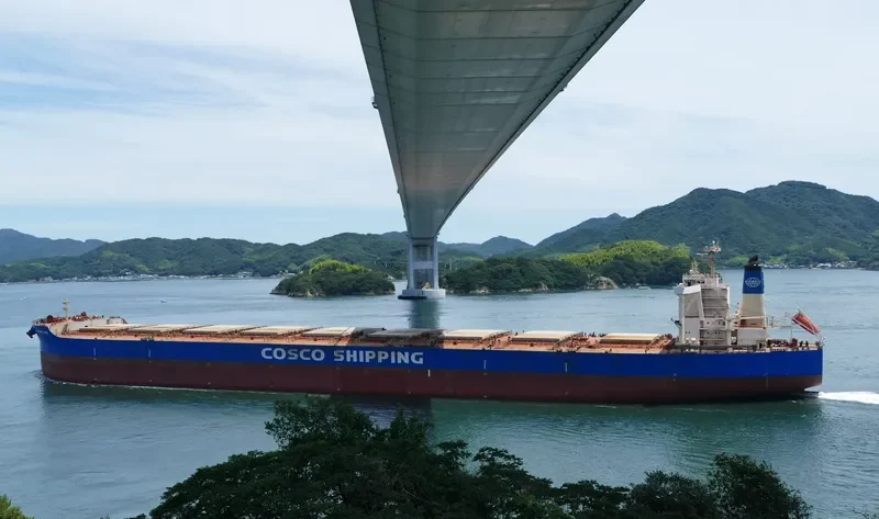 YUAN WANG HAI Bulk Carrier IMO 9516519 photo 9