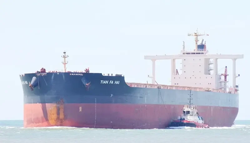 TIAN FA HAI Bulk Carrier IMO 9516521