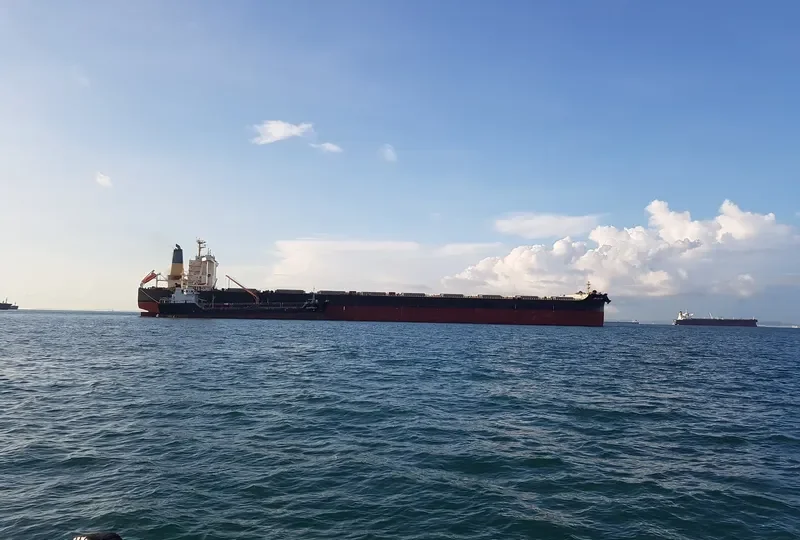 JIN DA HAI Bulk Carrier IMO 9516533