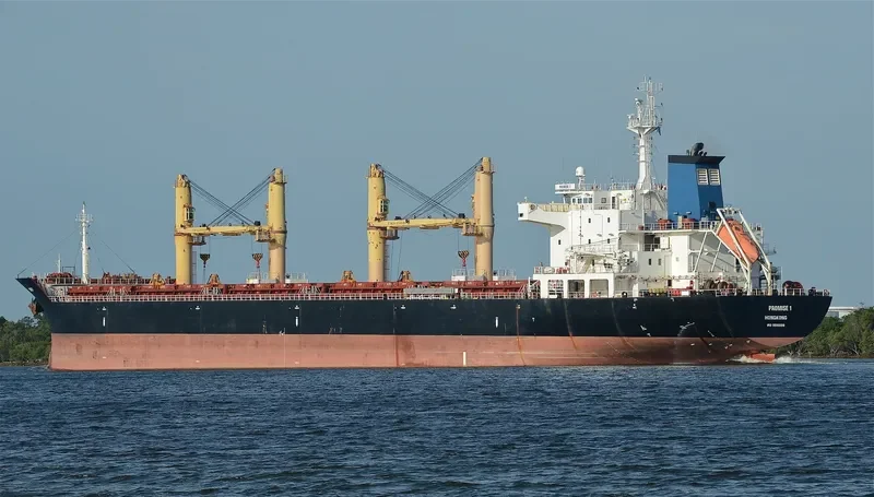 TBC BADRINATH Bulk Carrier IMO 9516698 photo 5