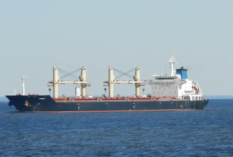 TBC BADRINATH Bulk Carrier IMO 9516698 photo 7