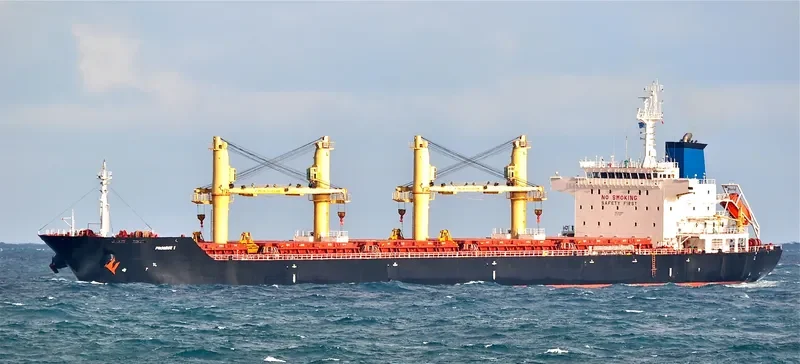TBC BADRINATH Bulk Carrier IMO 9516698 photo 10