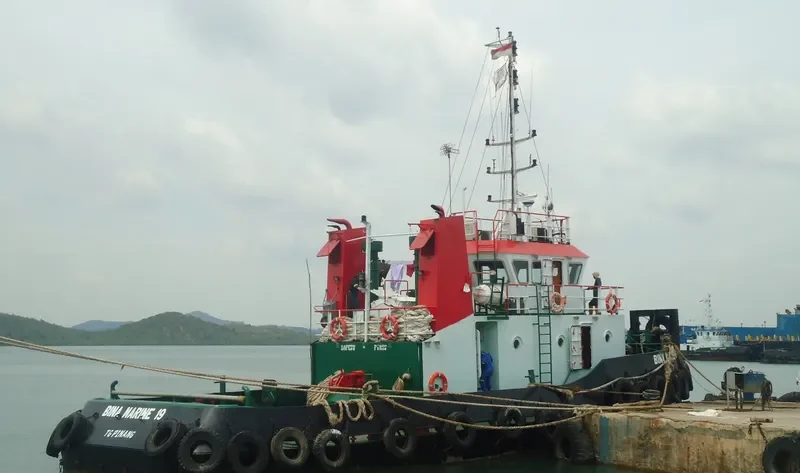 BINA MARINE 19 General Cargo IMO 9517484