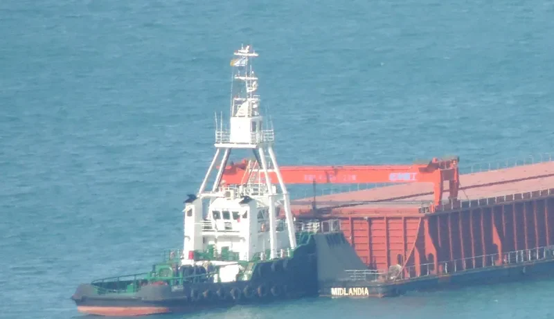 LIMILESS General Cargo IMO 9517874