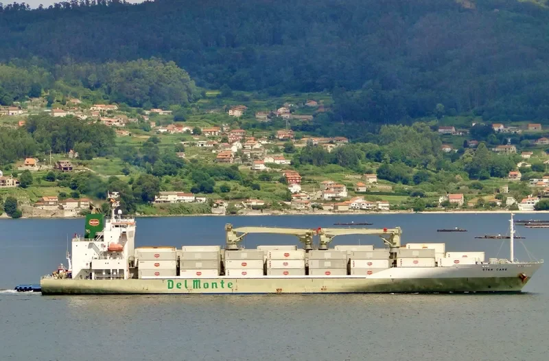 STAR CARE General Cargo IMO 9517903 photo 3