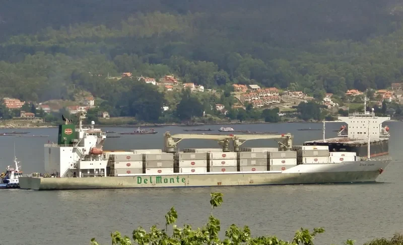 STAR CARE General Cargo IMO 9517903 photo 4