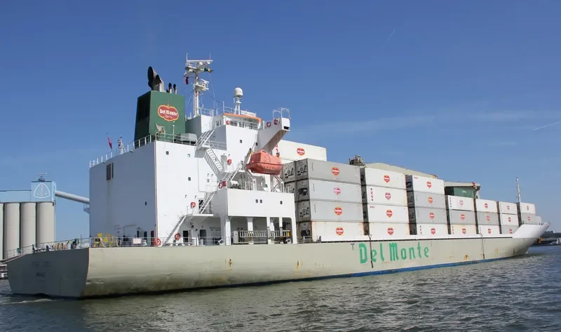 STAR CARE General Cargo IMO 9517903 photo 5