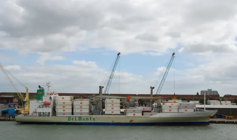 STAR PRIDE General Cargo IMO 9517915 photo 5