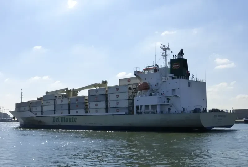 STAR ENDEAVOUR I General Cargo IMO 9517927 photo 4