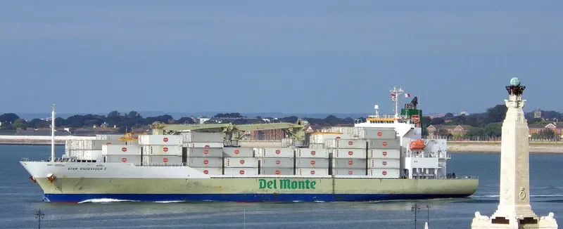 STAR ENDEAVOUR I General Cargo IMO 9517927 photo 6
