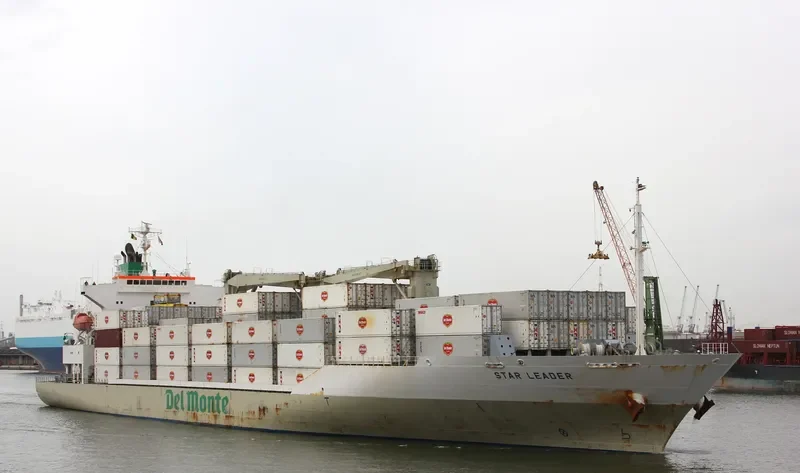 STAR LEADER General Cargo IMO 9517939 photo 9