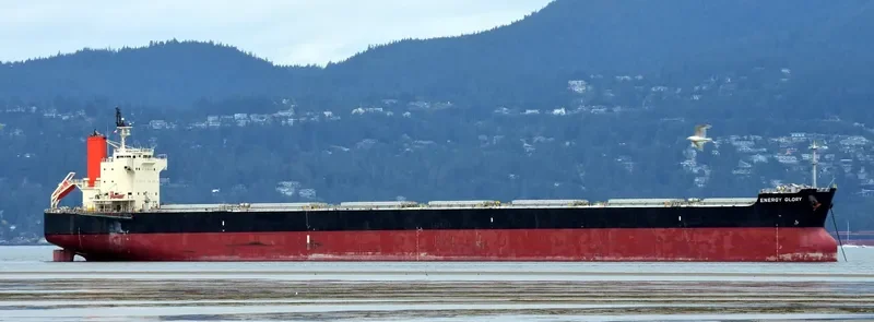 ENERGY GLORY Bulk Carrier IMO 9518074 photo 6