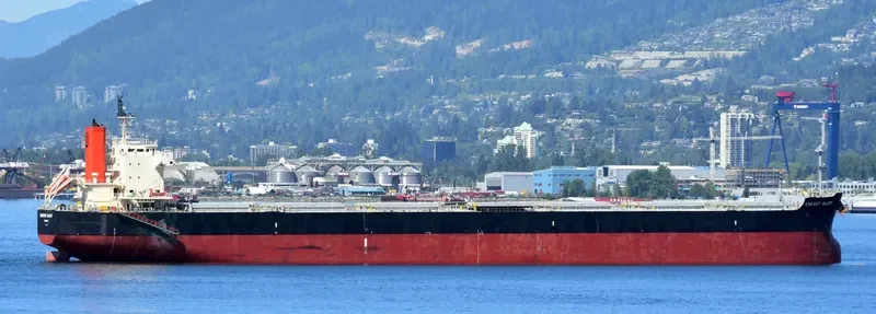 ENERGY GLORY Bulk Carrier IMO 9518074 photo 10