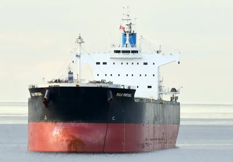 BULK PORTUGAL Bulk Carrier IMO 9518098 photo 4