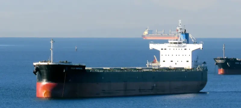 BULK PORTUGAL Bulk Carrier IMO 9518098 photo 5
