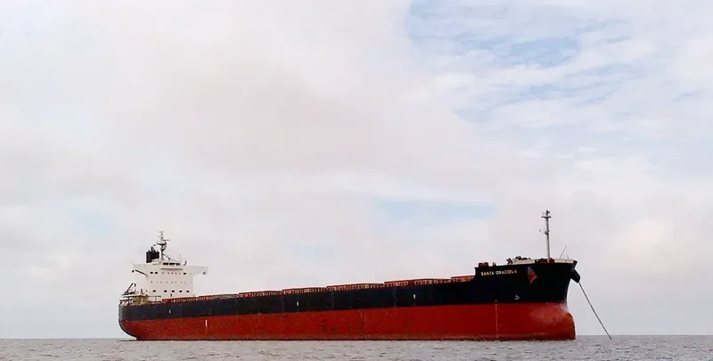 SANTA GRACIELA Bulk Carrier IMO 9518103 photo 4