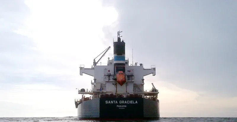 SANTA GRACIELA Bulk Carrier IMO 9518103 photo 6