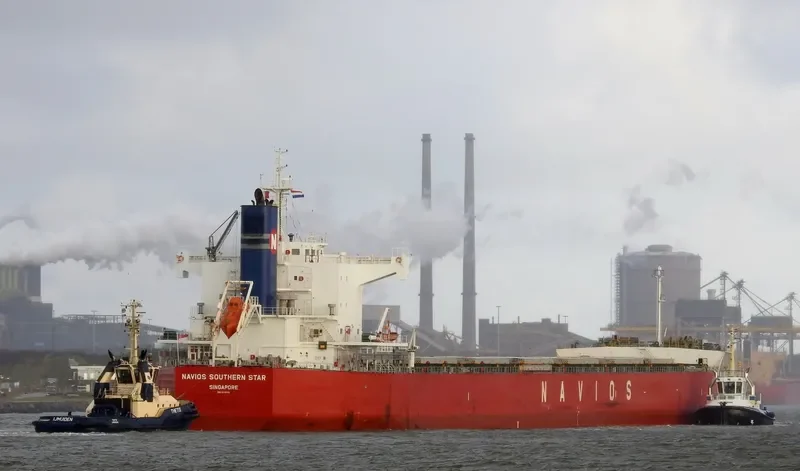 NAVIOS SOUTHERN STAR Bulk Carrier IMO 9518115 photo 8