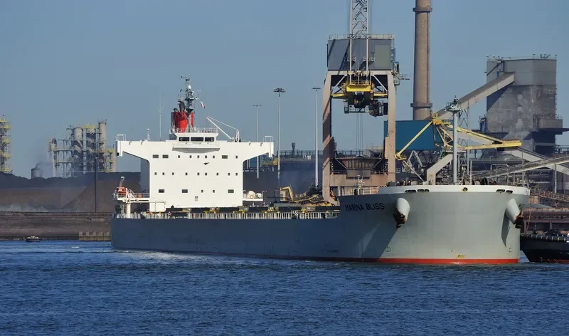 MARINA BLISS Bulk Carrier IMO 9518141 photo 7