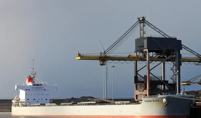 MARINA BLISS Bulk Carrier IMO 9518141 photo 9