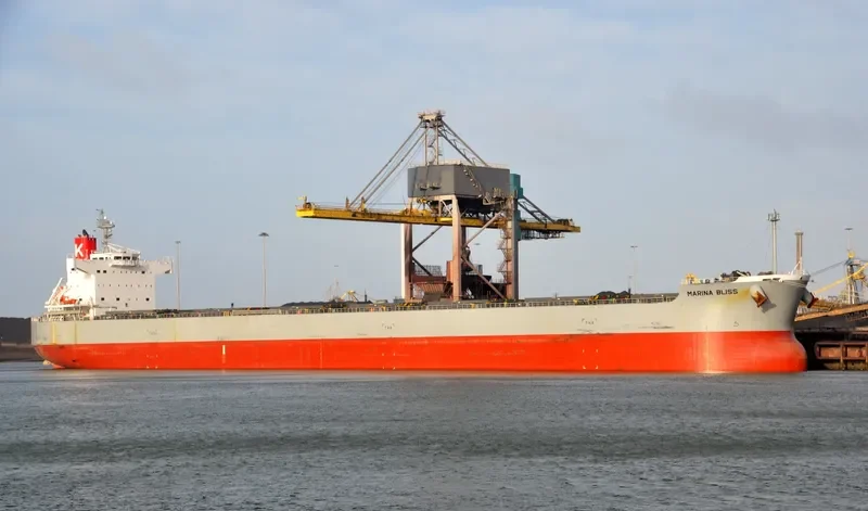 MARINA BLISS Bulk Carrier IMO 9518141 photo 10