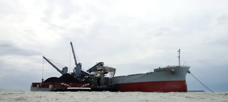 SHINING BLISS Bulk Carrier IMO 9518153