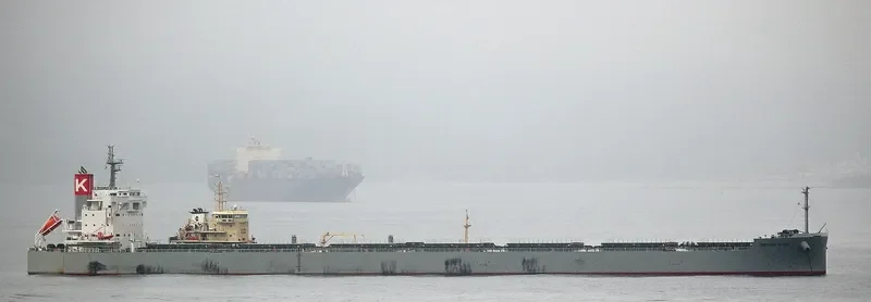 SHINING BLISS Bulk Carrier IMO 9518153 photo 3