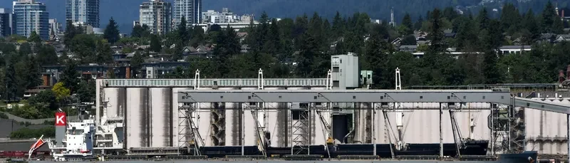 SHINING BLISS Bulk Carrier IMO 9518153 photo 4